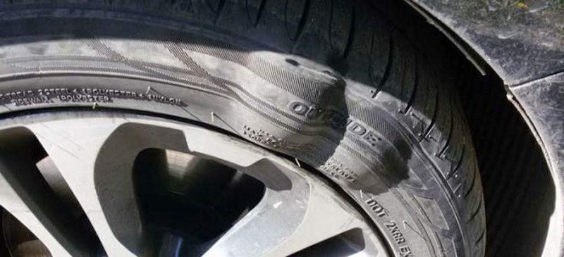 Количество, форма и размеры грыж бывают совершенно разными