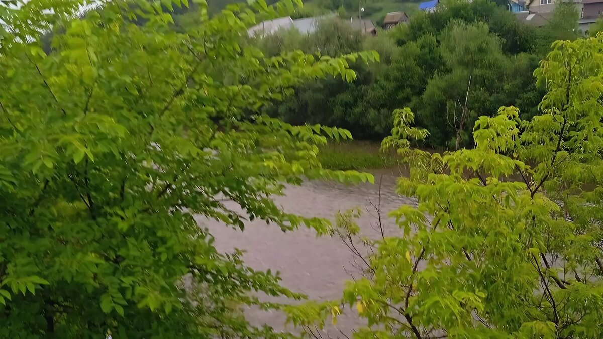     Источник: Госкомитет по ЧС РБ