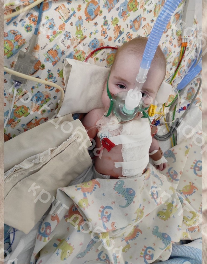 Создать карусельДобавьте описание