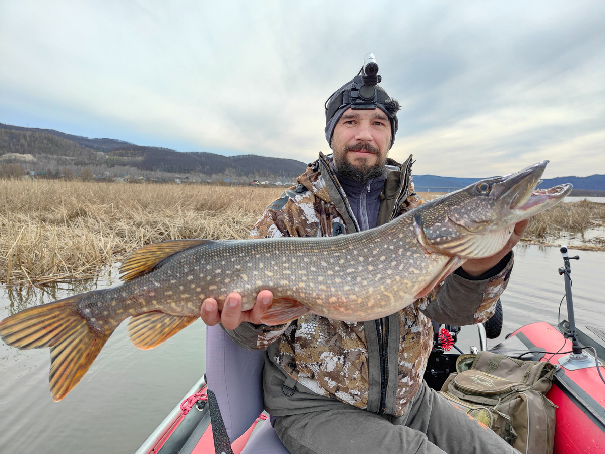 щука поймана ранней весной