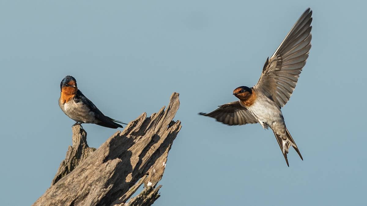    Фото: Shutterstock