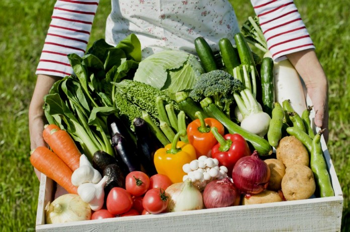 Источник: aykino.bezformata.com