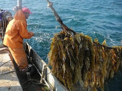 Автор: https://avatars.mds.yandex.net/i?id=d3407d5cef42d0f053099929085516a63c54b0b2e1c89f51-5257898-images-thumbs&n=13