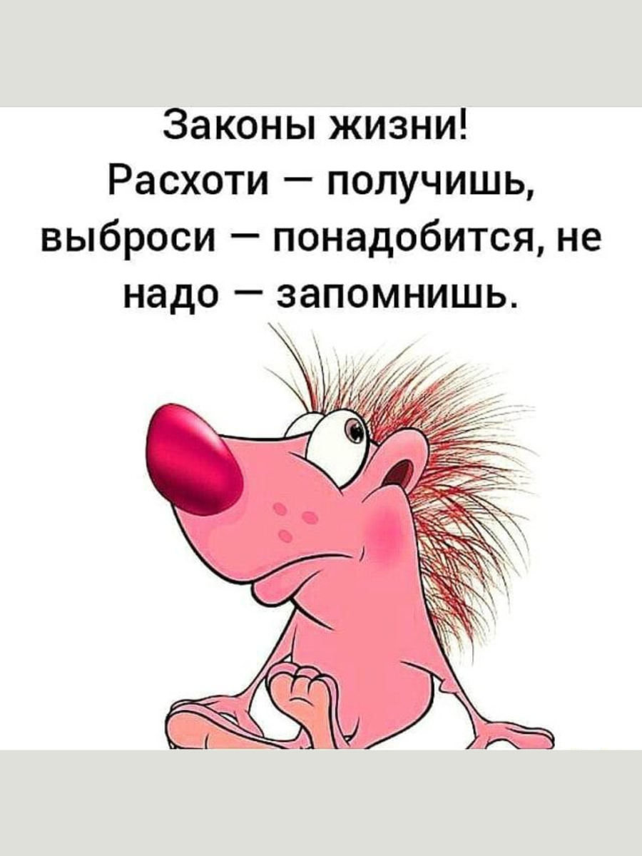 ���� ����� �� ���������.