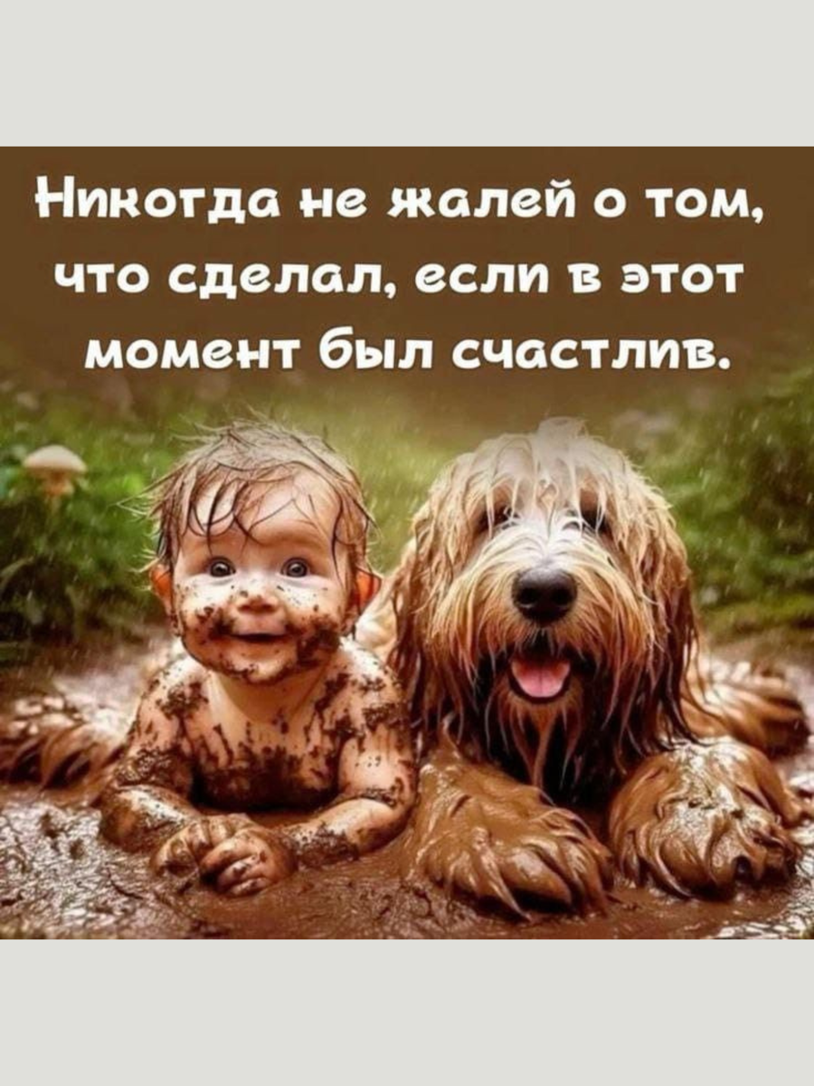 ���� ����� �� ���������.