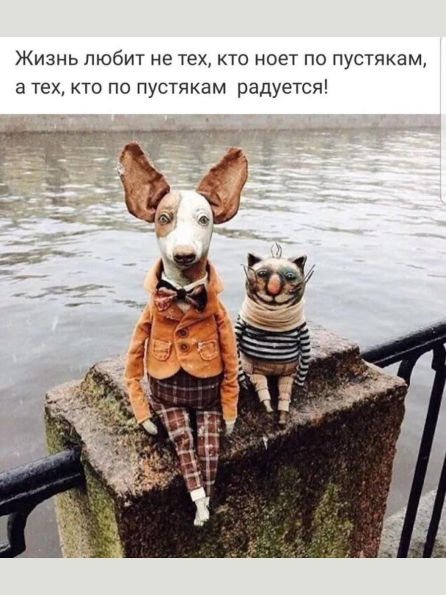 ���� ����� �� ���������.