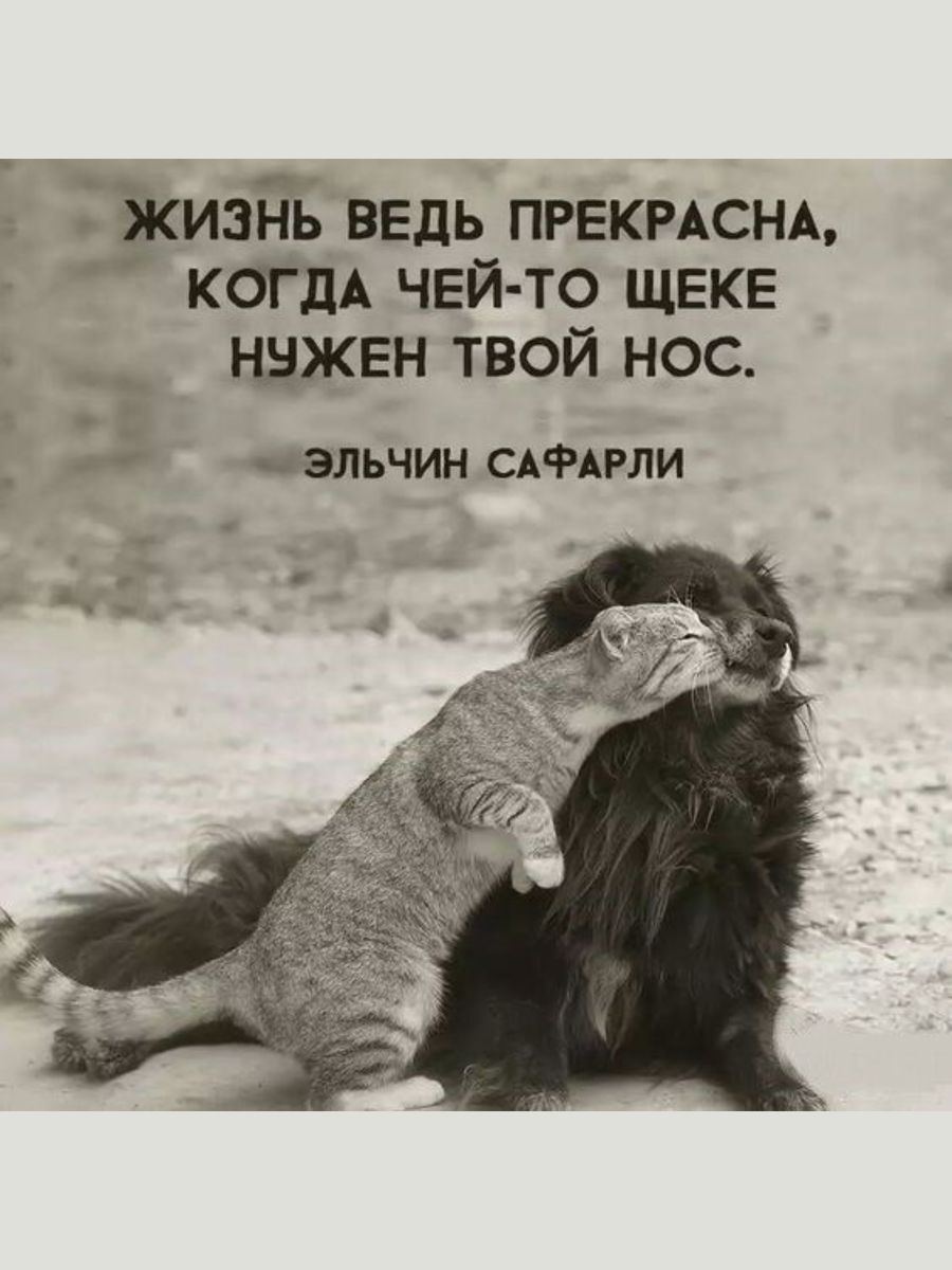 ���� ����� �� ���������.