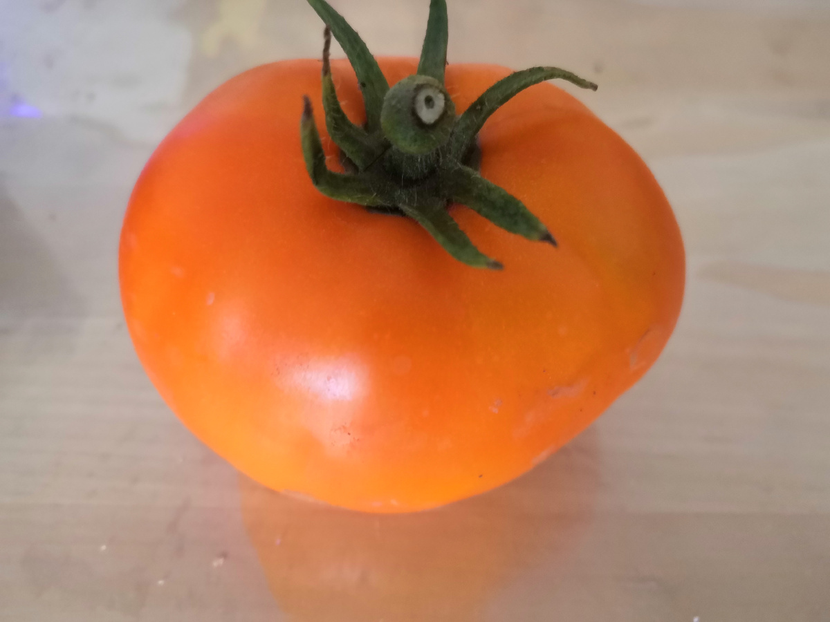 Красавец сорта Мандариновая гроздь.