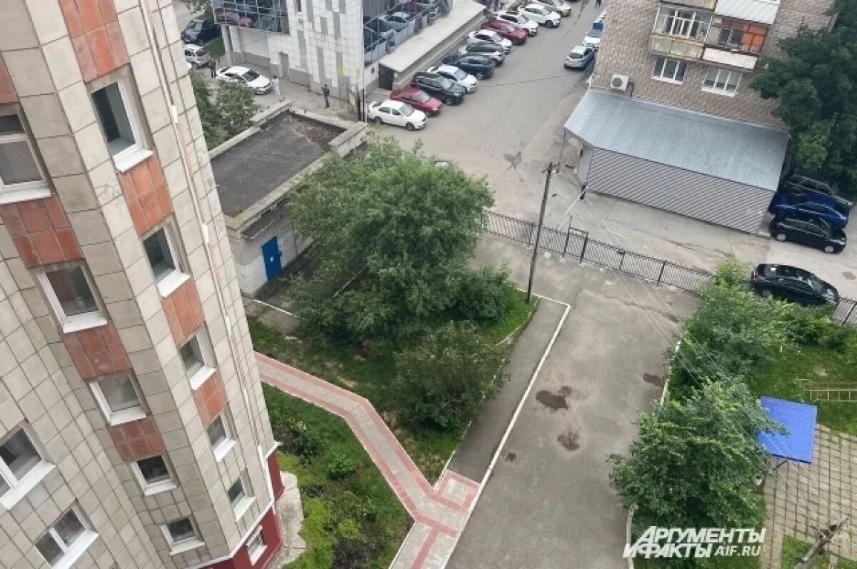    Семья, которую ошибочно связали с ребёнком в чемодане, дала опровержение