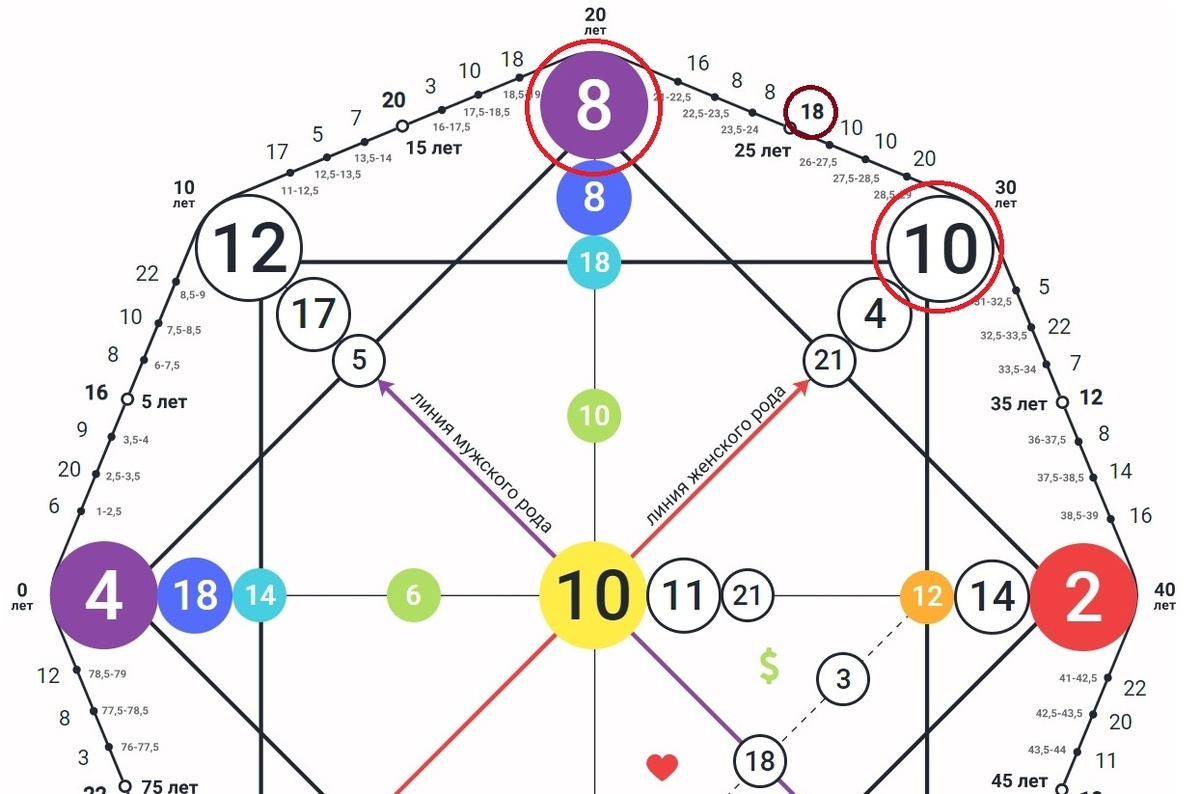 Добавьте описание