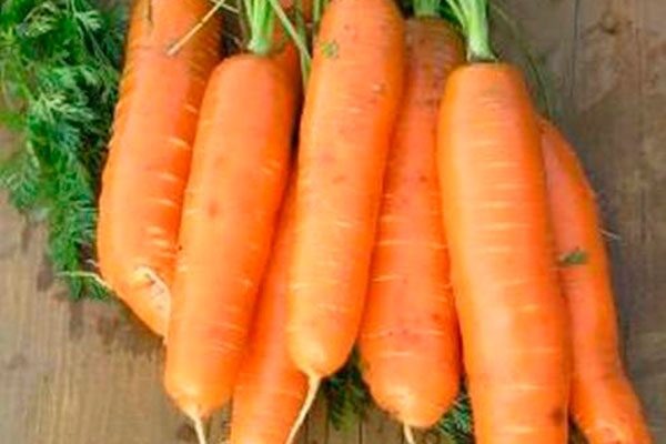 Морковь Бейби – популярный овощ среди огородников и любителей здорового питания.