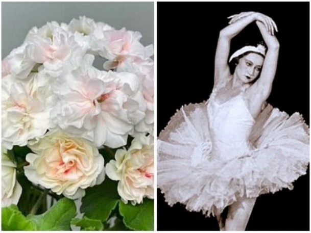 Потрясающая нежность в тодном и в другом случае!