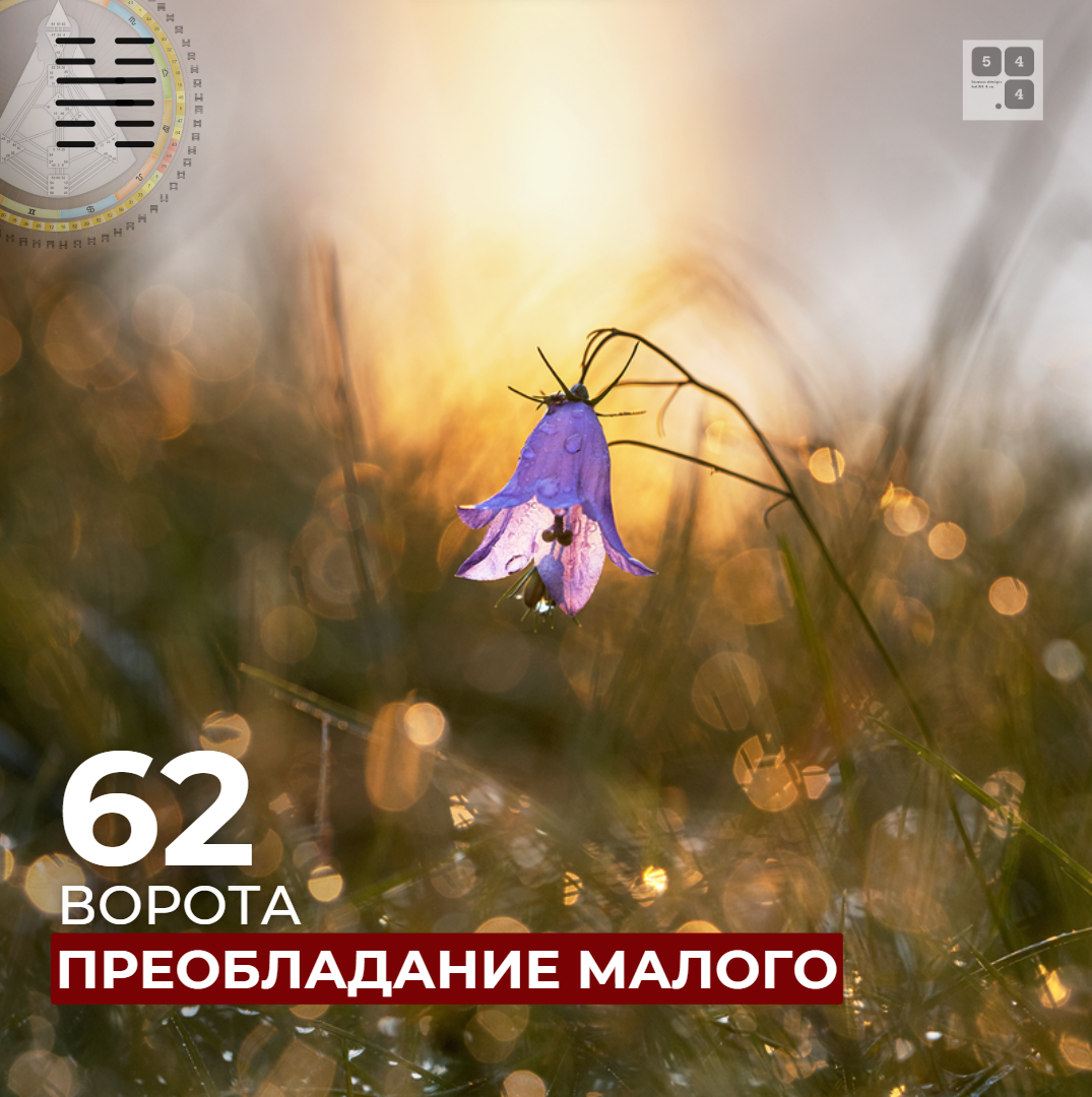 62 ворота. Преобладание Малого #дизайнчеловека
