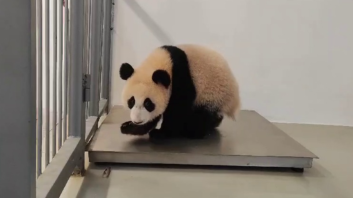    Фото: Telegram / Светлана Акулова