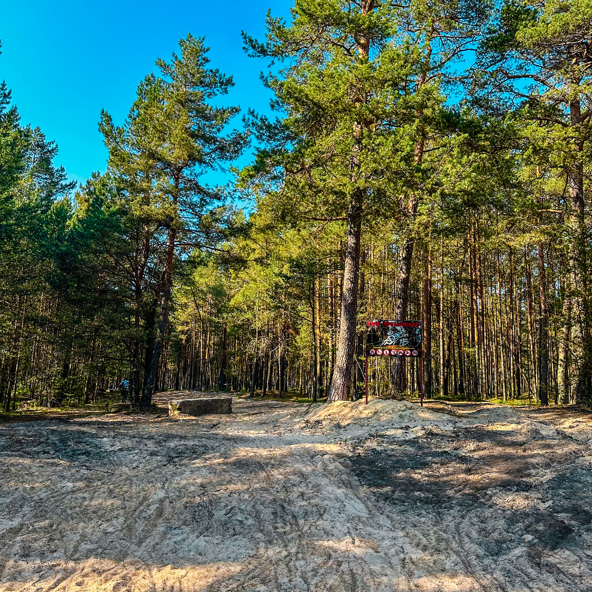 От игрового городка двигаемся в сторону Приморского парка. Ориентируемся на сквер им. А. П. Александрова.