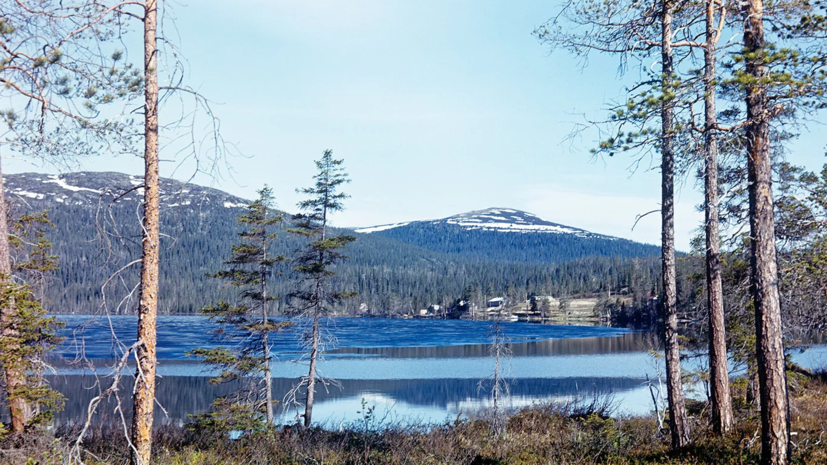   РИА Новости