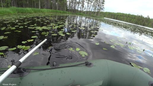 РЫБА КЛЮЁТ ПРОСТО ПУШКА. НОЧНАЯ РЫБАЛКА С ЛОДКИ. РЫБАЛКА В КАРЕЛИИ. ЧАСТЬ 2