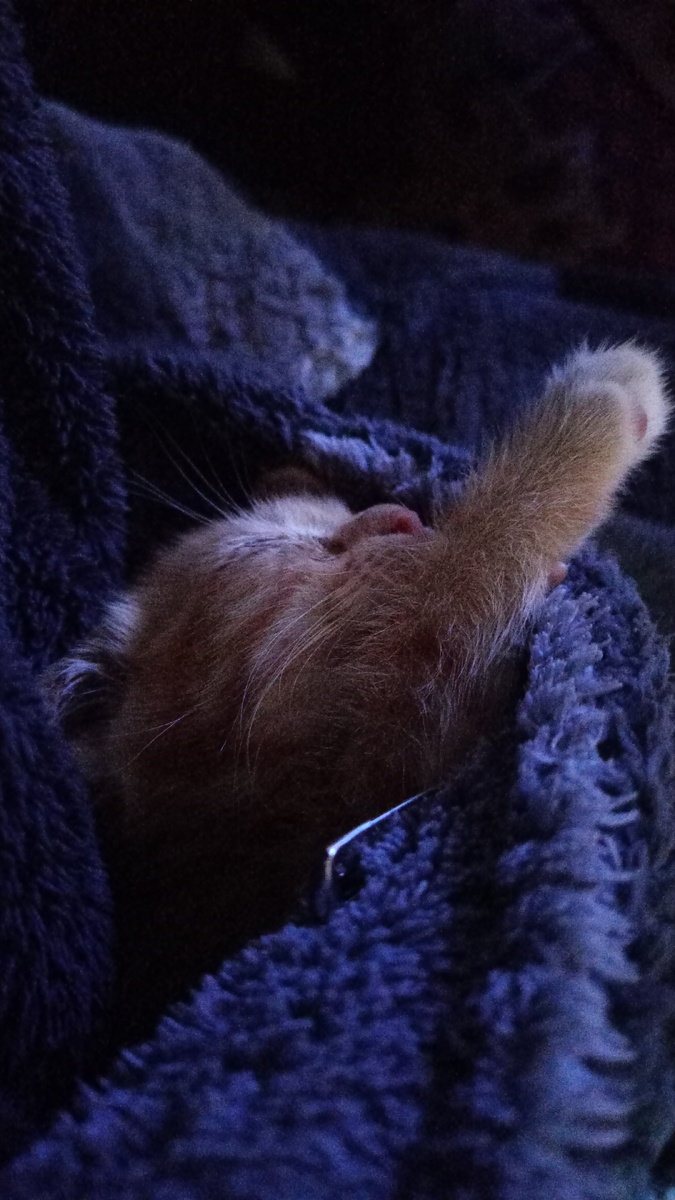 Да и зачем про это говорить, когда это не лечат. А если не лечат, значит, что? Правильно! 