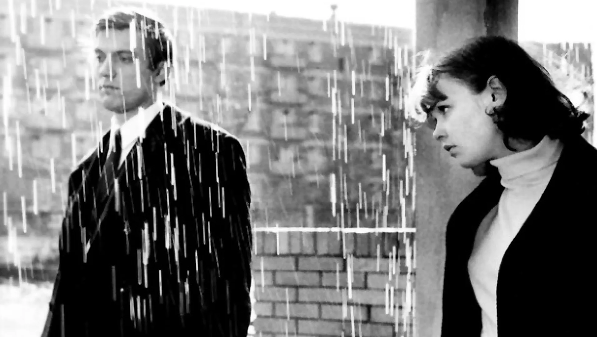 Яндекс картинки