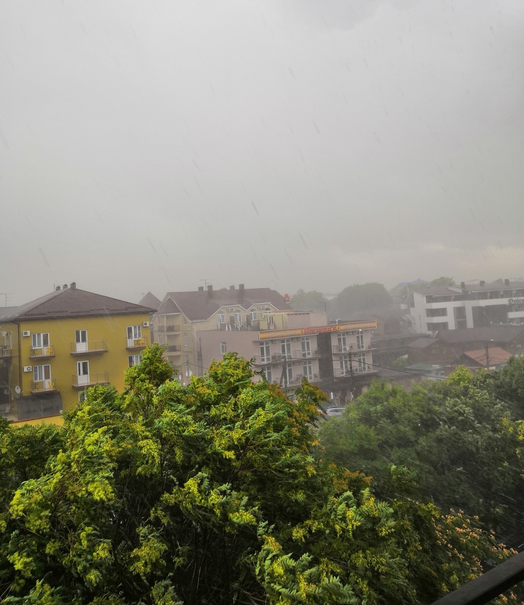 Какие там дожди в Витязево! Так, пару капель на скоровордку. 