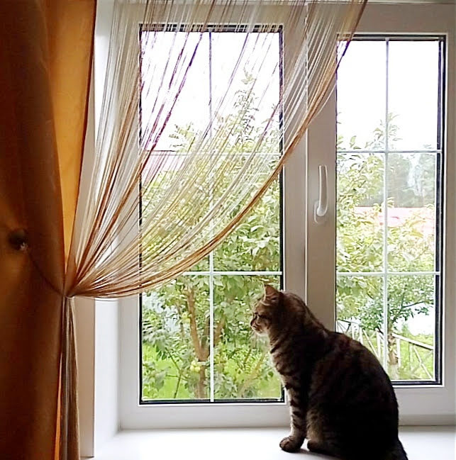 Котик Барсик на окошке 112 июля 2021 г 