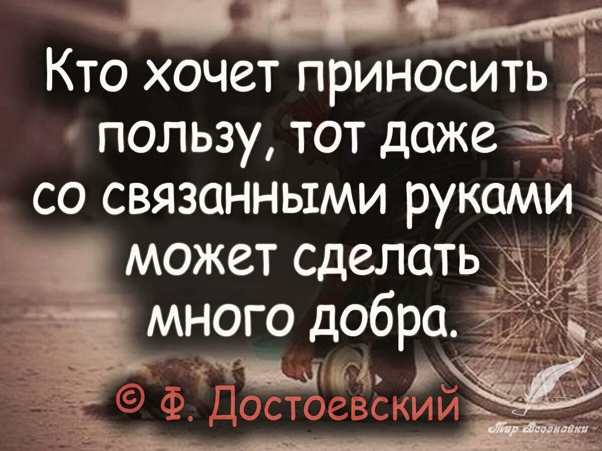 Картинка-цитата взята из Яндекса. Правильные слова. А вы как считаете❓