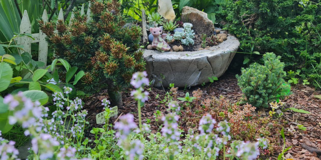 Долговечные садовые кашпо из бетона своими руками: спасаем мелкие растения от вымокания в болоте