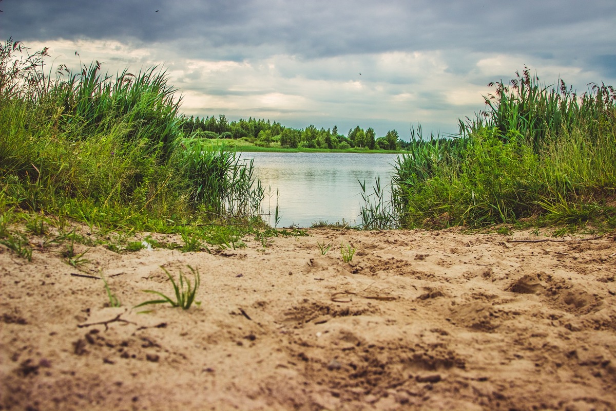 Источник - Яндекс картинки.