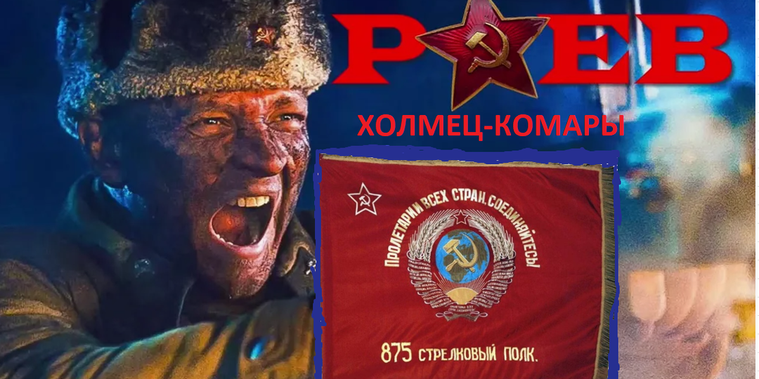 Доблесть разведчиков в Ржевских боях. Как безлунная ночь и плетень помогли взять д. Комары