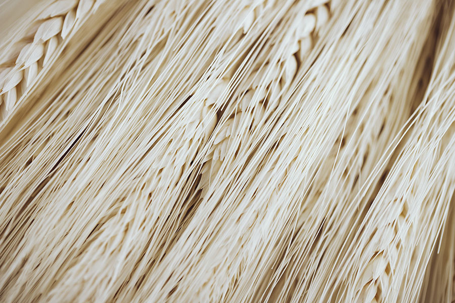 Background photo created by freepik – www.freepik.com