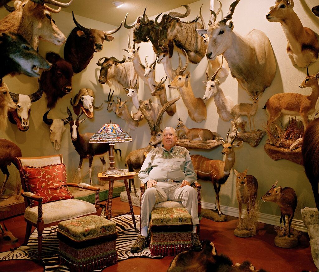 среди чучел животных