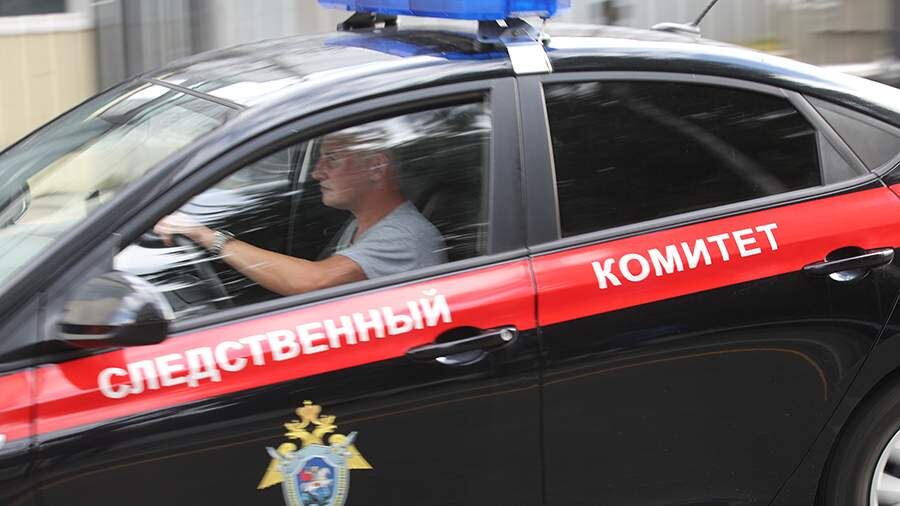 В Перми обнаружили чемодан с трупом ребенка внутри. Об этом 12 июля сообщает Следственное управление Следственного комитета (СУ СК) РФ по региону.