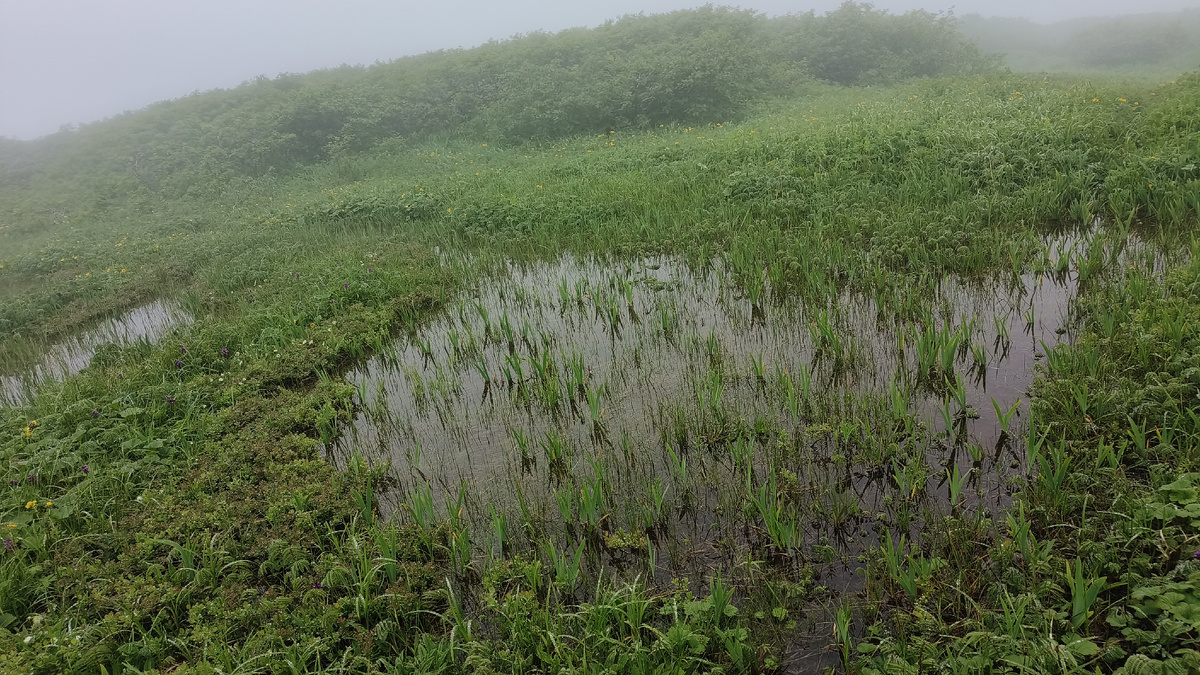 Крутой подъем 