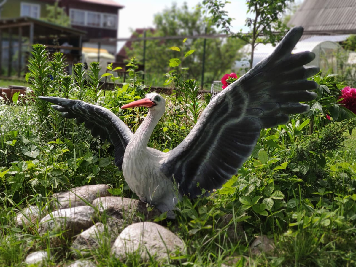 Источник: alekssadfigur.ru 