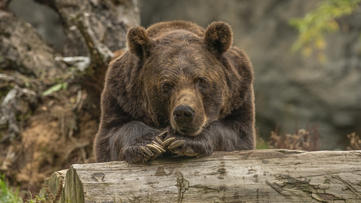     Источник: Image by wirestock on Freepik