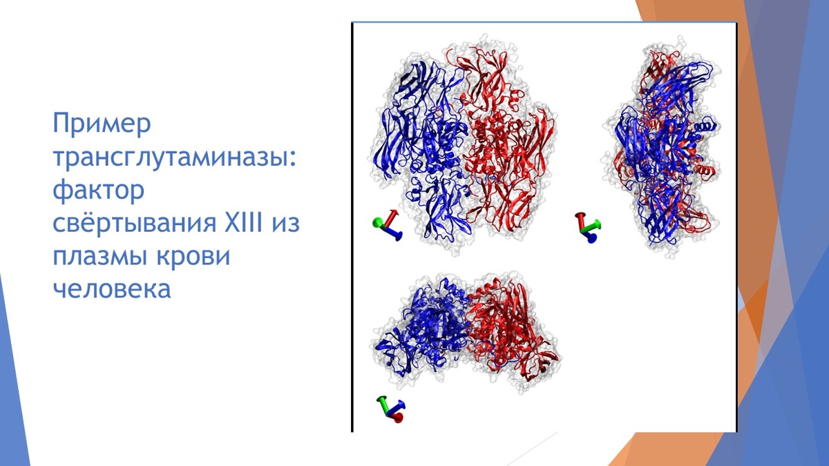(коллаж собственность канала "Невыдуманные истории еды")