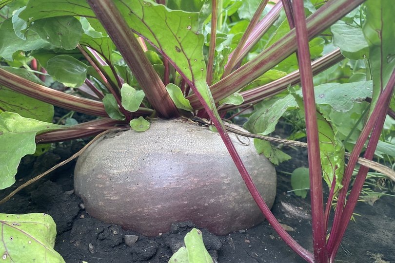 Фото: UfacityNews.ru