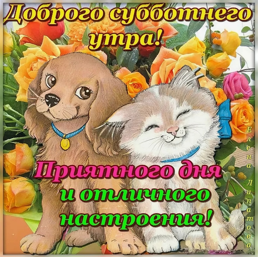 Всем доброй субботы