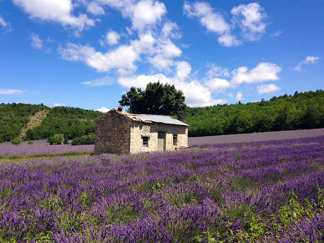 provence-me.com