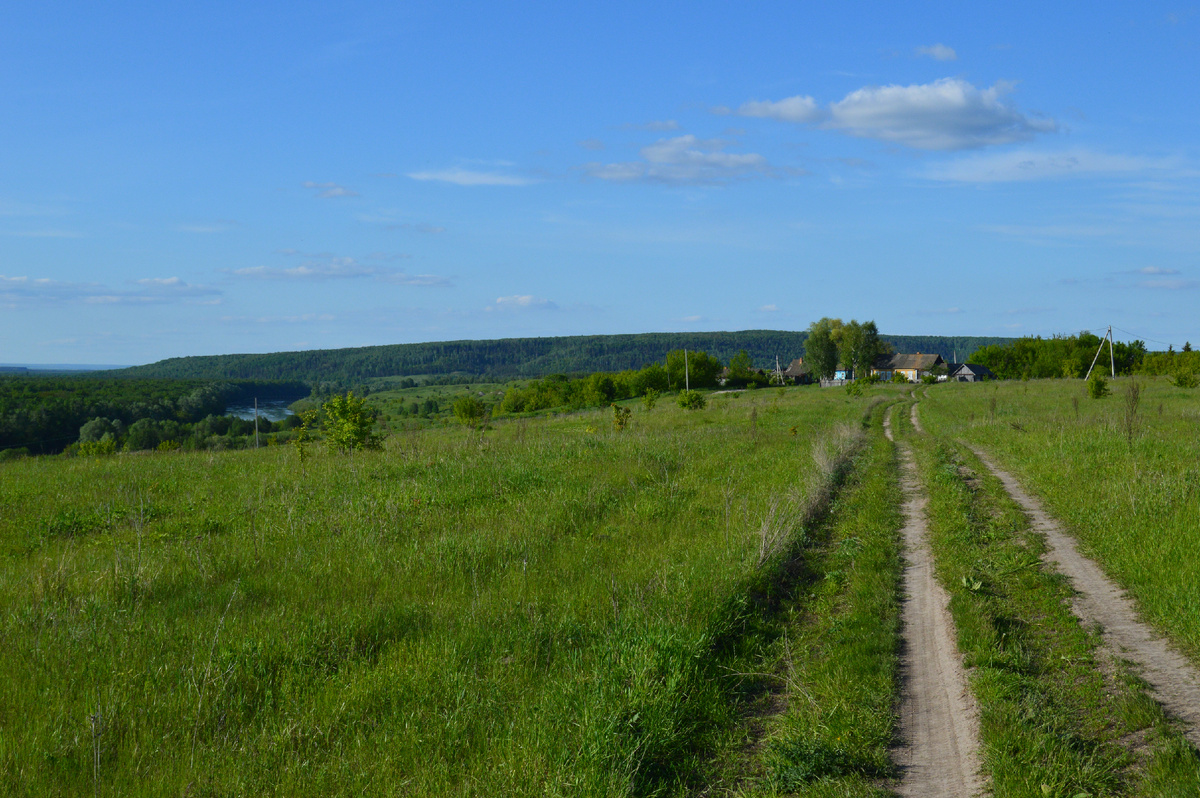 В небо посмотришь – даль далека, лес да река. Фото автора