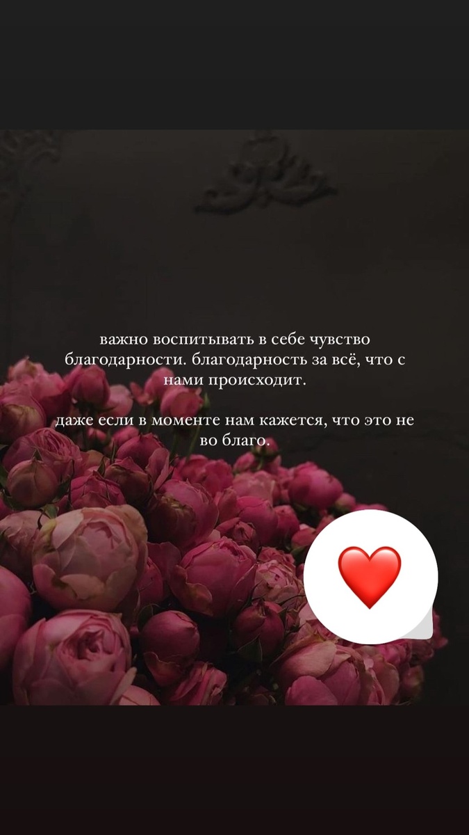 Почему важно благодарить и говорить Спасибо.