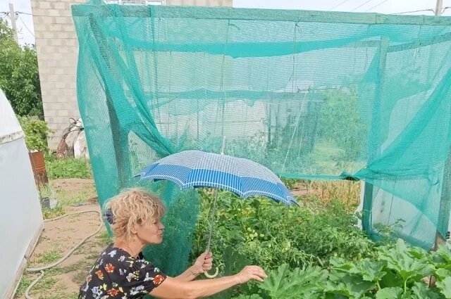    Как сэкономить на даче драгоценную влагу в разгар лета?