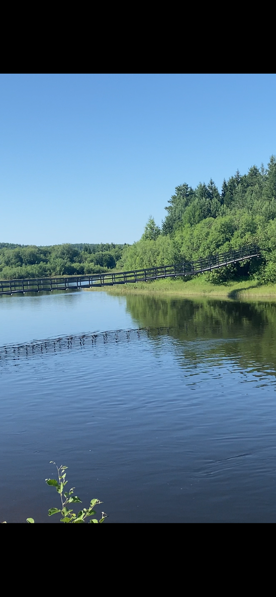 Подвесной мост 