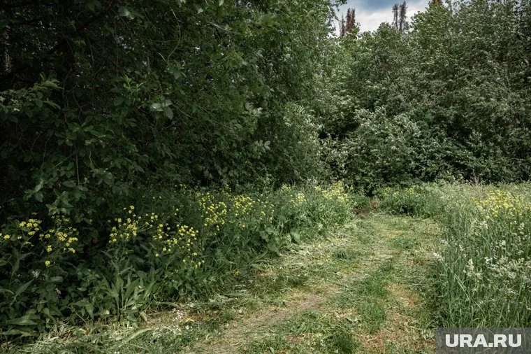 В лесу следует придерживаться маршрута и не сворачивать с него. Фото: Руслан Яроцкий © URA.RU