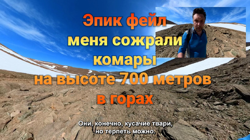 Сходил на этот ваш ледник Романтиков. И меня сожрали комары на высоте 700 метров в горах!