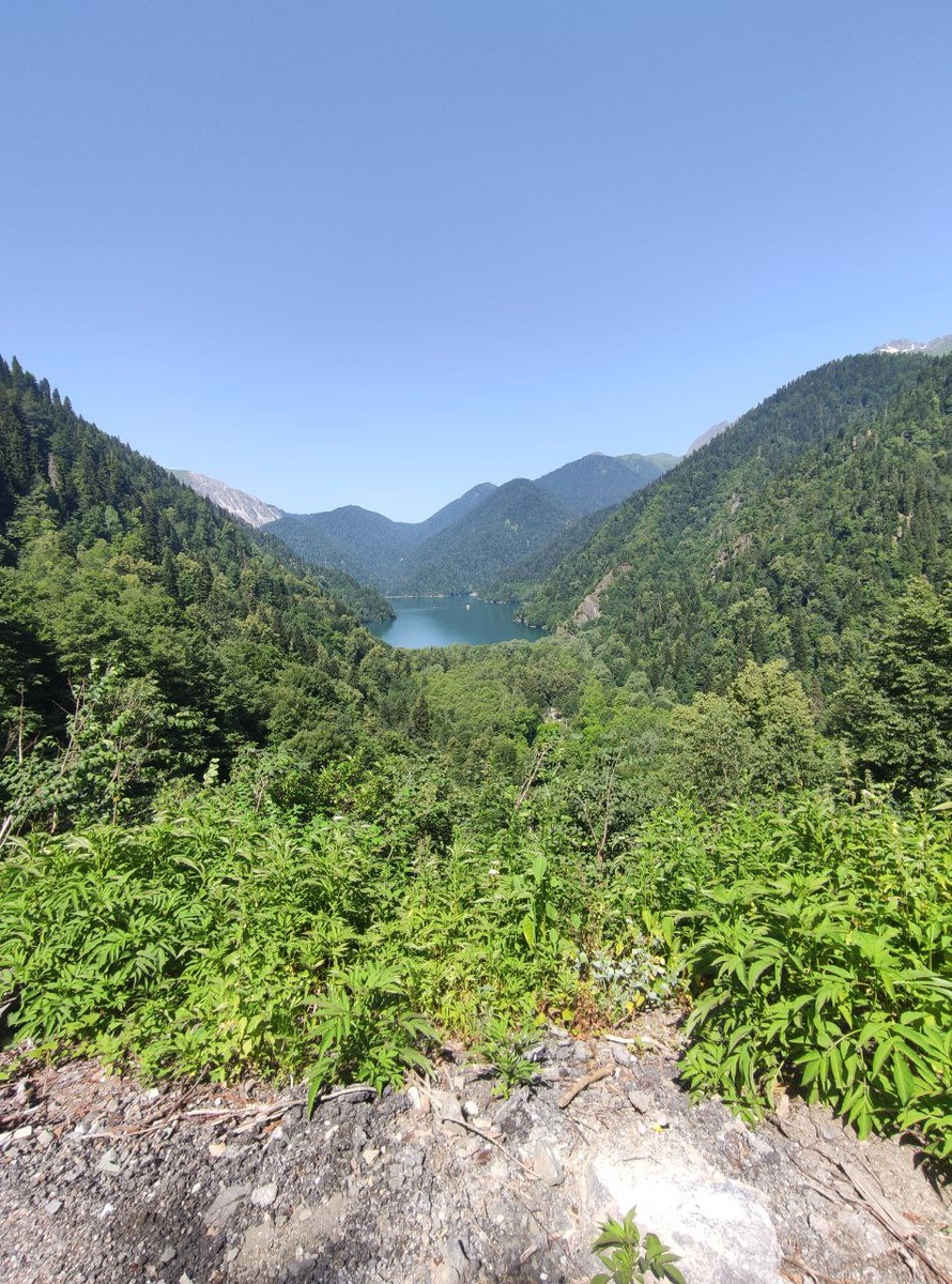 Оз.Рица  Кординаты-43.472293, 40.533650