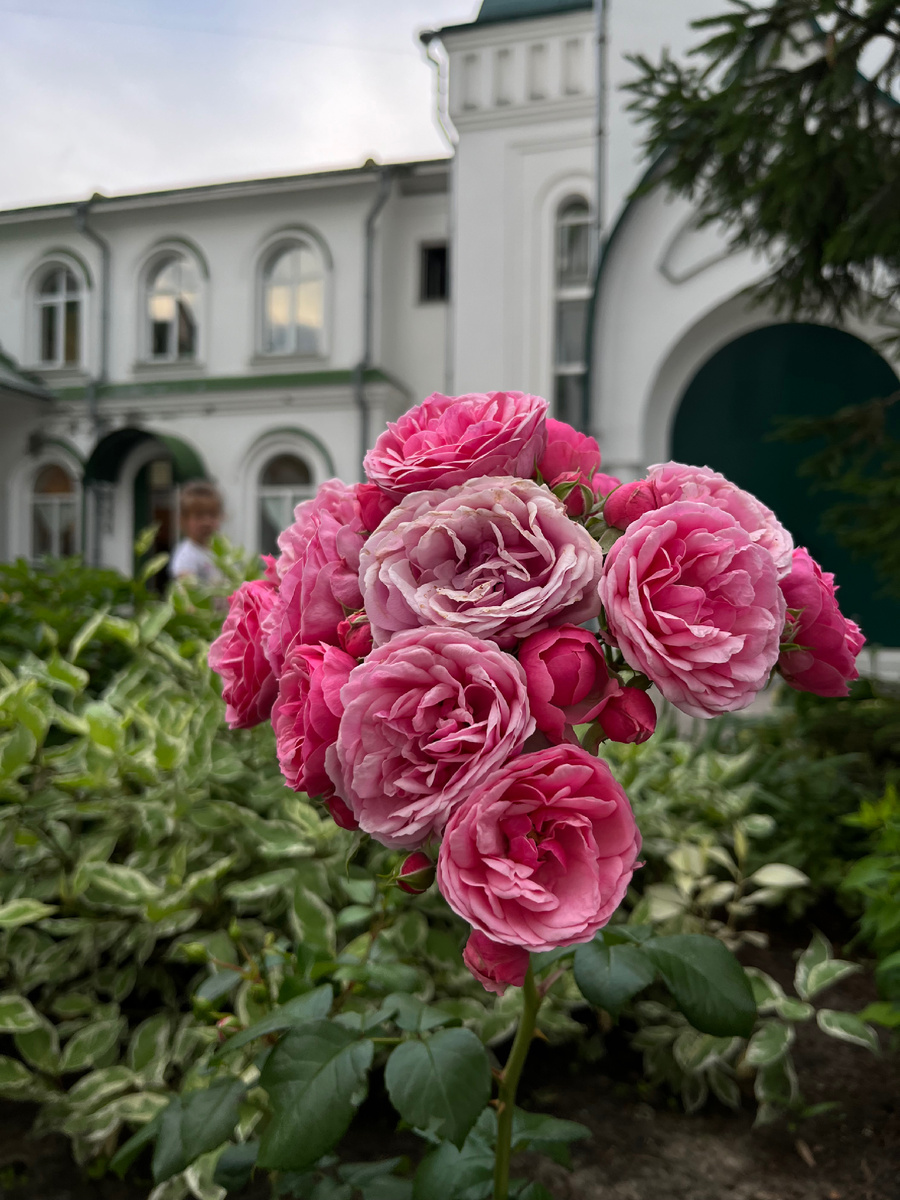 Нужно стараться держать фокус на том, что действительно соответствует вашим ценностям и приносит результат