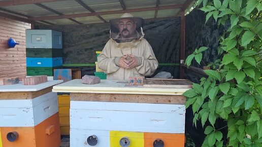 Как не спровоцировать напад пчёл при отборе мёда? Как при этом не испортить отношения с соседями? Видео по пчеловодству для начинающих 2024