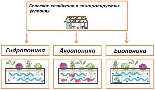 Виды сельского хозяйства в контролируемой среде