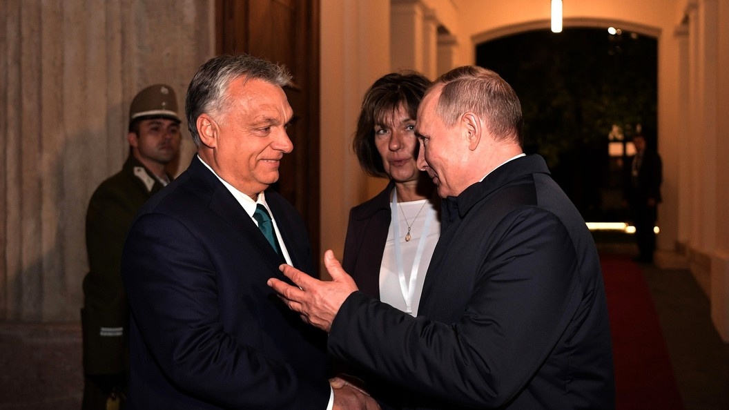    Kremlin Pool/Global Look Press